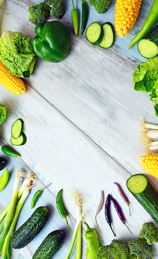 agrotipseeds-contact-image-2 agrotipseeds-contact-image-2