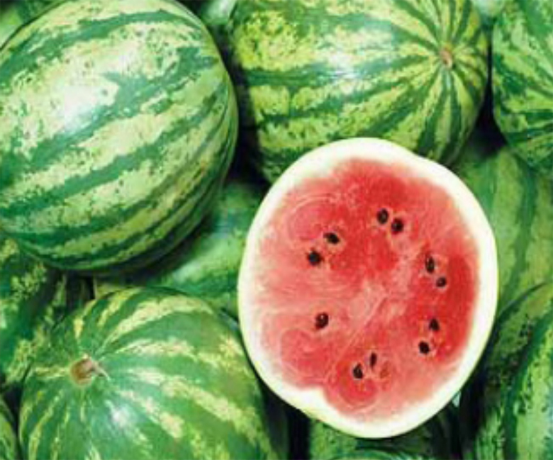 agrotipseeds-crimson--image